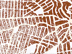 same vague map of a town but now in brown and white