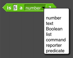primitive types