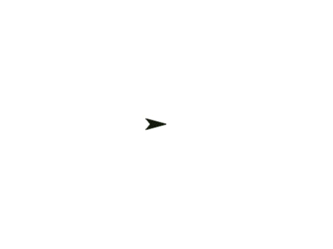 animation of a data set being graphed