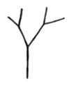 drawing of tree3 after the second tree 2 is called