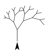 tree5 result: Tree with trunk and branches