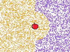 There's an apple in the center. The entire left half of the stage is orange; so is a circle around the apple. What's left is purple.