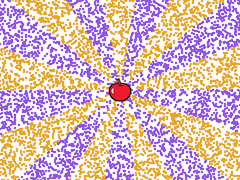 There's an apple at the center. Radiating out from the center are 18 wedges, alternating orange and purple in color.