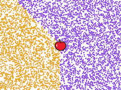 Apple at center of stage. The area around the apple on the left side between south (downward) and northwest (up and to the left) is orange.  The area between south and northwest but on the right is purple.
