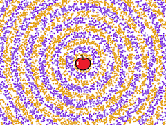 There's an apple at the center. Behind the apple is a small orange circle. Then comes a small purple circular band around the orange circle. Then a small orange circular band, and so on working outward.