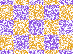 A checkerboard pattern or purple and orange. Around the x axis are five squares, with purple at the left and right edges and at the center. Around the y axis, there are three full squares and two partial squares at the edges; the partial squares and the center square are purple, and the remaining two squares are orange. The two colors alternate over the entire area like a checkerboard.