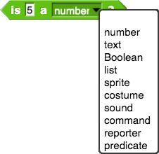 primitive types: number, text, Boolean, list, sprite, command, reporter, predicate