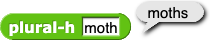 plural-h (moth) reporting 'moths'