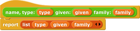 name, type: ( ) given: ( ) family: ( ):  report (list type given family)