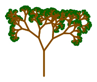 a third random tree with random branch lengths and angles